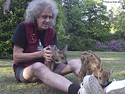 Queen Guitarist Brian May King of His Wildlife Refuge