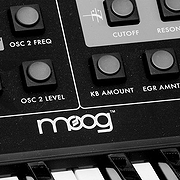 Setting the Moog for Musicians Everywhere