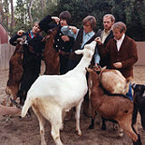 Beach Boys - 