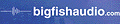 Big Fish Audio
