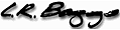 L.R. Baggs Acoustic Guitar Pickups