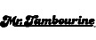 Mr. Tambourine Lighting Effects