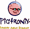 Pigtronix Effects