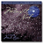 Mark Hayes Vocal Solo Collection: 10 Christmas Songs for Solo Voice - "Midnight Noel" - Listening CD