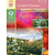 Gospel Classics - Book & CD
