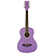 Daisy Rock Junior Miss Acoustic Short Scale Guitar - Popsicle Purple