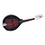 Flinthill A-Style Mandolin, Sunburst