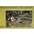 Backpackers Songbook