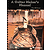 A Guitar Maker's Manual