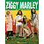 The Best of Ziggy Marley and the Melody Makers