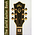 The Guild Guitar Book