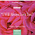 Whitney Houston Hits - I Will Always Love You