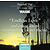 Endless Love and Other Songs Recorded by Lionel Richie