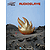 Audioslave