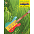 How To Play Reggae Guitar