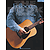 The Folksongs Book