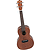 Lanikai LU-21C Concert Ukulele