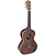 Lanikai Ac-el Tenor Ukulele