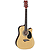 Dean Tradition Acoustic-Electric Guitar Package w/DA20 Acoustic Amp