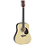 Dean Tradition Acoustic Dreadnought Guitar - Hardshell Case Included!