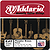 D'Addario Phosphor Bronze Acoustic Guitar Strings - Medium, Environmental Packaging - Box of 10 sets