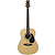JB Player 39" Folk-size Steel-string Acoustic Guitar