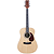 JB Player Dreadnought Acoustic Guitar - Left-handed Version