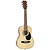 J. Reynolds 34-inch Student Acoustic Guitar - Steel-string