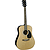 J. Reynolds 65 Dreadnought Guitar - Natural