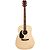 J. Reynolds 70 Left Handed Guitar - Natural