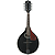 J. Reynolds JRMAN30 Mandolin  - Black