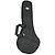MBT Mandolin Gig Bag