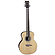 Dean Playmate Acoustic-Electric Bass Guitar