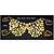 Bra Cover, Brass, Coins