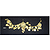 Drape, Brass, Coins