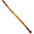 Didgeridoo PVC Hand Painted, Lizard