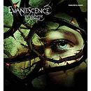 Evanescence - Anywhere But Home