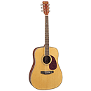 Woods Deluxe Solid Top Dreadnought Guitar