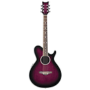 Daisy Rock Wildwood Artist Deluxe Acoustic-Electric Guitar - Royal Purple Burst