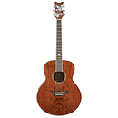 Daisy Rock Butterfly Jumbo Acoustic-Electric Guitar - Bubinga Butterfly