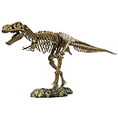 Elenco T-Rex Skeleton