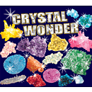 Tree of Knowledge Crystal Wonder Kit