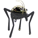 iBOTZ Hydrazoid Robot Kit