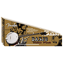 Fender® FB-300 Banjo Package