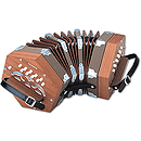 Hohner D40 Concertina