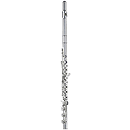 RS Berkeley AF201 Alto Flute