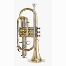 RS Berkeley CR611 Elite Series Cornet
