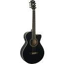 Washburn EA10 Festival Series Petite Jumbo Acoustic-Electric Guitar - Black