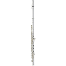 RS Berkeley F0107C Elite Series Flute