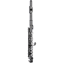 RS Berkeley P101 Elite Series Piccolo in the Key of C